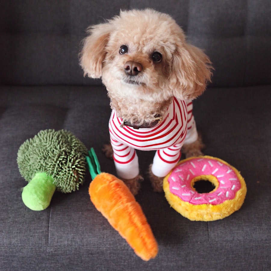 Köpek Kemirme Oyuncağı